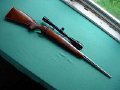 Varmint rifle in 22 PPC  